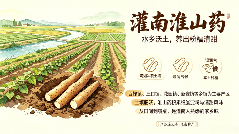 灌南淮山药 一方水土养出食补好物